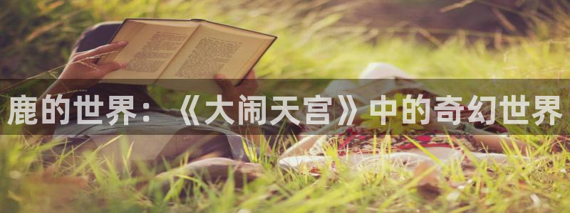 一点动漫免费观看高清