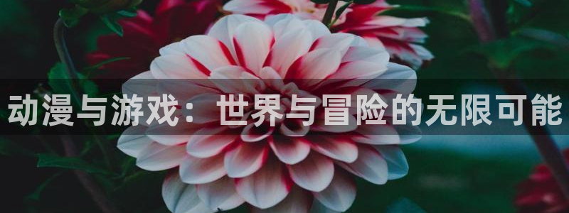 一点动漫免费